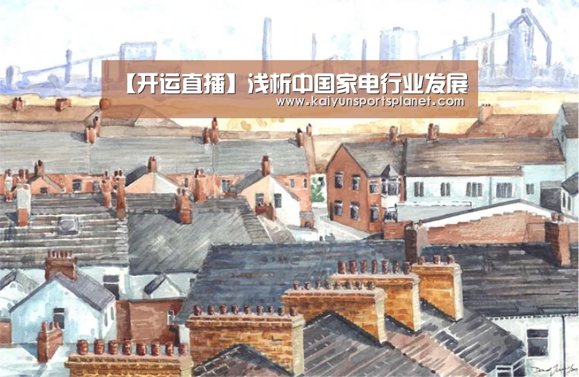 【开运直播】浅析中国家电行业发展(图1) 开运电竞