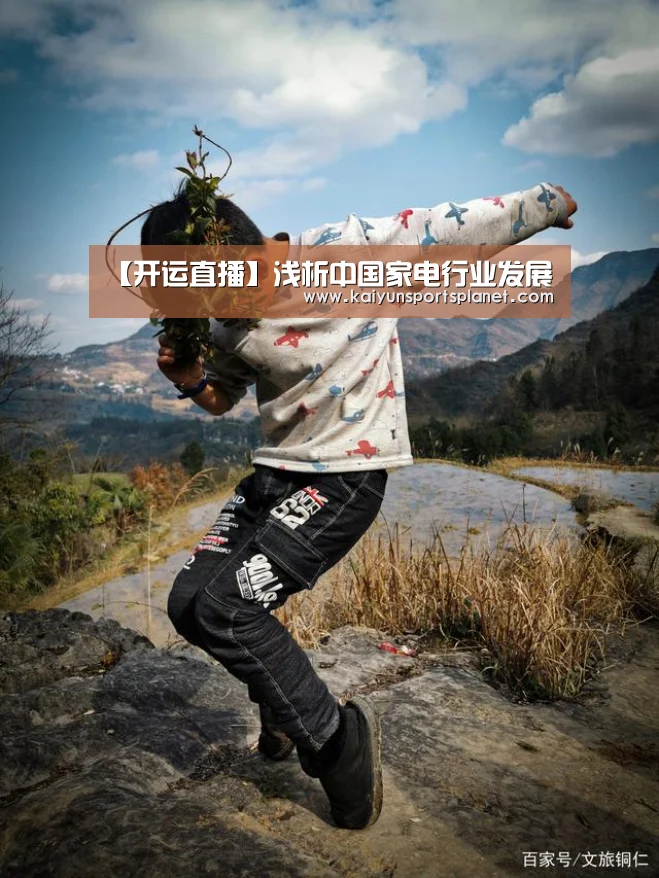 【开运直播】浅析中国家电行业发展(图3) 开运电竞
