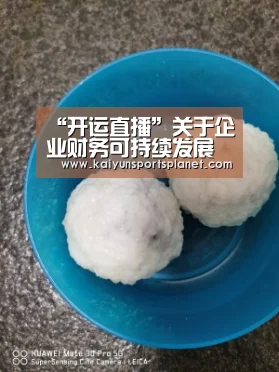 “开运直播”关于企业财务可持续发展的研究(图1) 开运体育