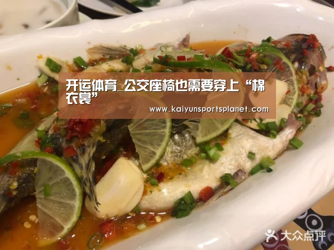 开运体育_公交座椅也需要穿上“棉衣裳”(图1) 开运直播
