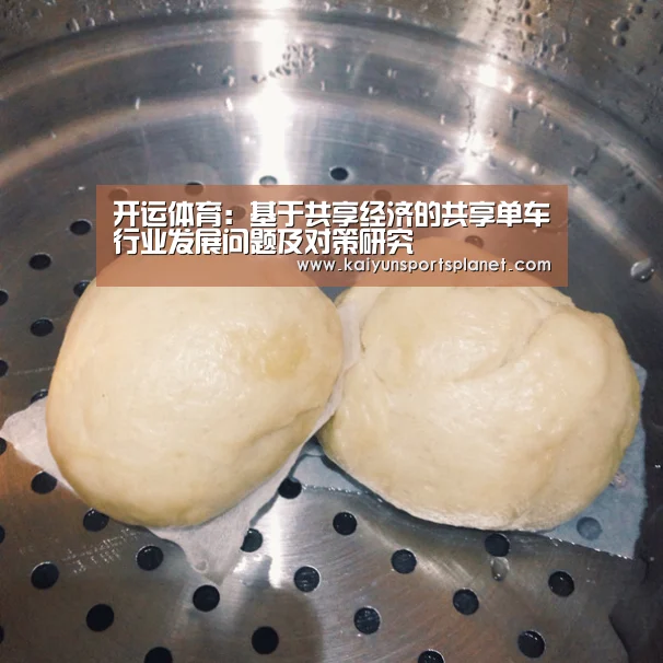 开运体育:基于共享经济的共享单车行业发展问题及对策研究(图1) 开运电竞