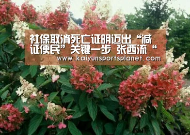 社保取消死亡证明迈出“减证便民”关键一步 张西流“开运体育”(图2) 开运APP